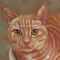 Kedi Portre Yağlıboya Resim El - Doku ile Boyanmış Fotoğrafınızı Bir Tabloya Dönüştürün