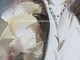 Tuval Modern Sanat Yağlıboya Beyaz Elbiseli Bayan İnce Plastik Katmanla Kaplı